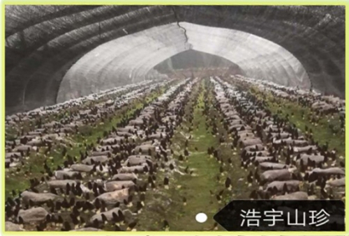 &#20048;&#31454;&#32593;&#39029;&#29256;&#30331;&#24405;&#20837;&#21475;&#45;&#20048;&#31454;&#40;&#20013;&#22269;&#41;