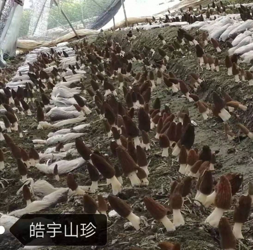 &#20048;&#31454;&#32593;&#39029;&#29256;&#30331;&#24405;&#20837;&#21475;&#45;&#20048;&#31454;&#40;&#20013;&#22269;&#41;