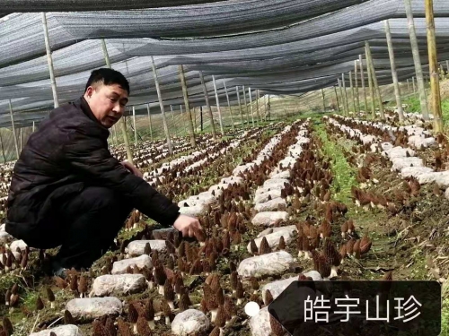 &#20048;&#31454;&#32593;&#39029;&#29256;&#30331;&#24405;&#20837;&#21475;&#45;&#20048;&#31454;&#40;&#20013;&#22269;&#41;
