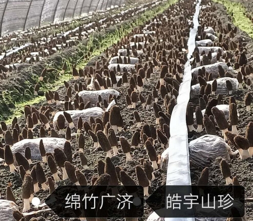 &#20048;&#31454;&#32593;&#39029;&#29256;&#30331;&#24405;&#20837;&#21475;&#45;&#20048;&#31454;&#40;&#20013;&#22269;&#41;