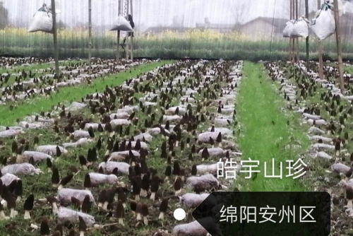 &#20048;&#31454;&#32593;&#39029;&#29256;&#30331;&#24405;&#20837;&#21475;&#45;&#20048;&#31454;&#40;&#20013;&#22269;&#41;