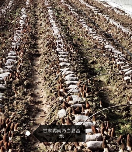 &#20048;&#31454;&#32593;&#39029;&#29256;&#30331;&#24405;&#20837;&#21475;&#45;&#20048;&#31454;&#40;&#20013;&#22269;&#41;