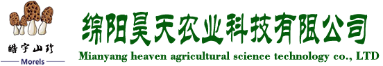 &#20048;&#31454;&#32593;&#39029;&#29256;&#30331;&#24405;&#20837;&#21475;&#45;&#20048;&#31454;&#40;&#20013;&#22269;&#41;