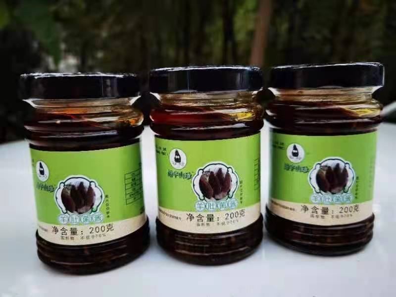 &#20048;&#31454;&#32593;&#39029;&#29256;&#30331;&#24405;&#20837;&#21475;&#45;&#20048;&#31454;&#40;&#20013;&#22269;&#41;