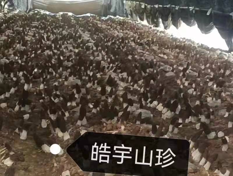 &#20048;&#31454;&#32593;&#39029;&#29256;&#30331;&#24405;&#20837;&#21475;&#45;&#20048;&#31454;&#40;&#20013;&#22269;&#41;