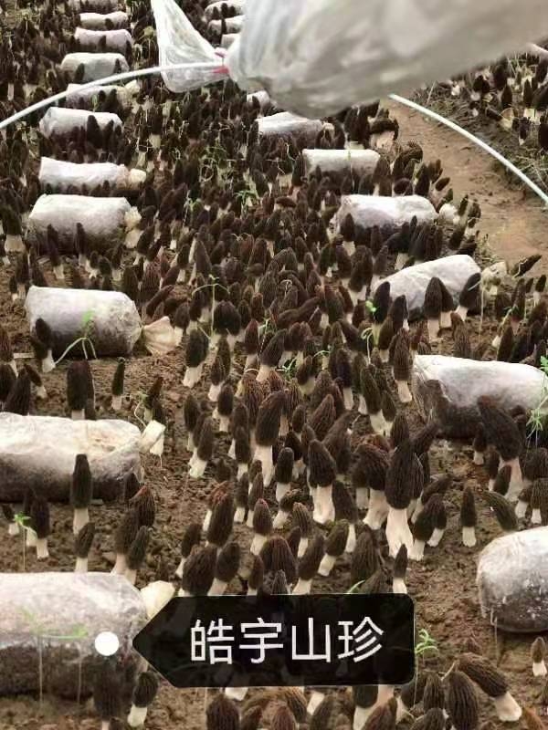 &#20048;&#31454;&#32593;&#39029;&#29256;&#30331;&#24405;&#20837;&#21475;&#45;&#20048;&#31454;&#40;&#20013;&#22269;&#41;