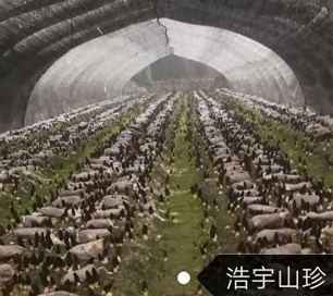 &#20048;&#31454;&#32593;&#39029;&#29256;&#30331;&#24405;&#20837;&#21475;&#45;&#20048;&#31454;&#40;&#20013;&#22269;&#41;