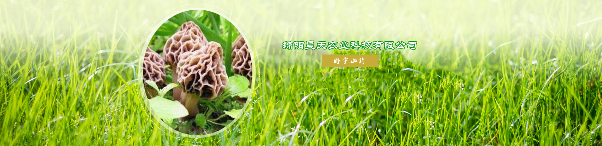 &#20048;&#31454;&#32593;&#39029;&#29256;&#30331;&#24405;&#20837;&#21475;&#45;&#20048;&#31454;&#40;&#20013;&#22269;&#41;