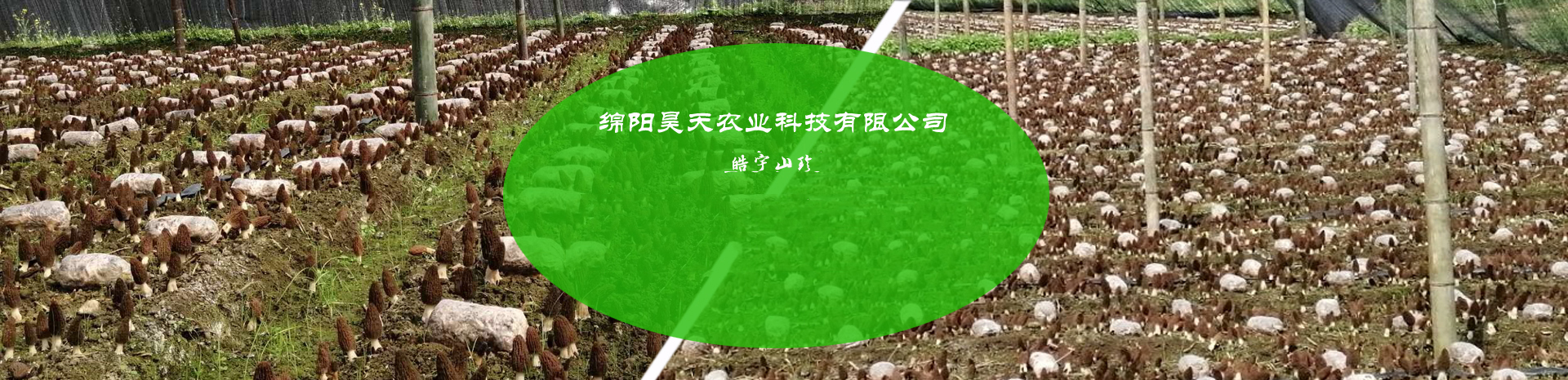 &#20048;&#31454;&#32593;&#39029;&#29256;&#30331;&#24405;&#20837;&#21475;&#45;&#20048;&#31454;&#40;&#20013;&#22269;&#41;