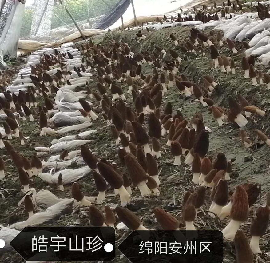 &#20048;&#31454;&#32593;&#39029;&#29256;&#30331;&#24405;&#20837;&#21475;&#45;&#20048;&#31454;&#40;&#20013;&#22269;&#41;