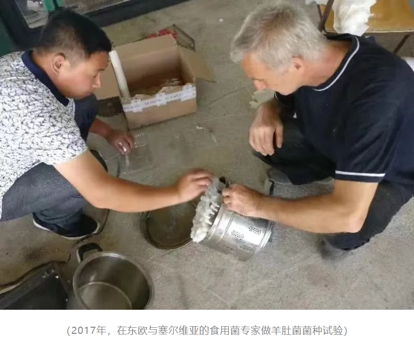 &#20048;&#31454;&#32593;&#39029;&#29256;&#30331;&#24405;&#20837;&#21475;&#45;&#20048;&#31454;&#40;&#20013;&#22269;&#41;