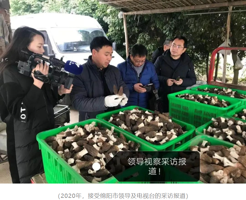 &#20048;&#31454;&#32593;&#39029;&#29256;&#30331;&#24405;&#20837;&#21475;&#45;&#20048;&#31454;&#40;&#20013;&#22269;&#41;