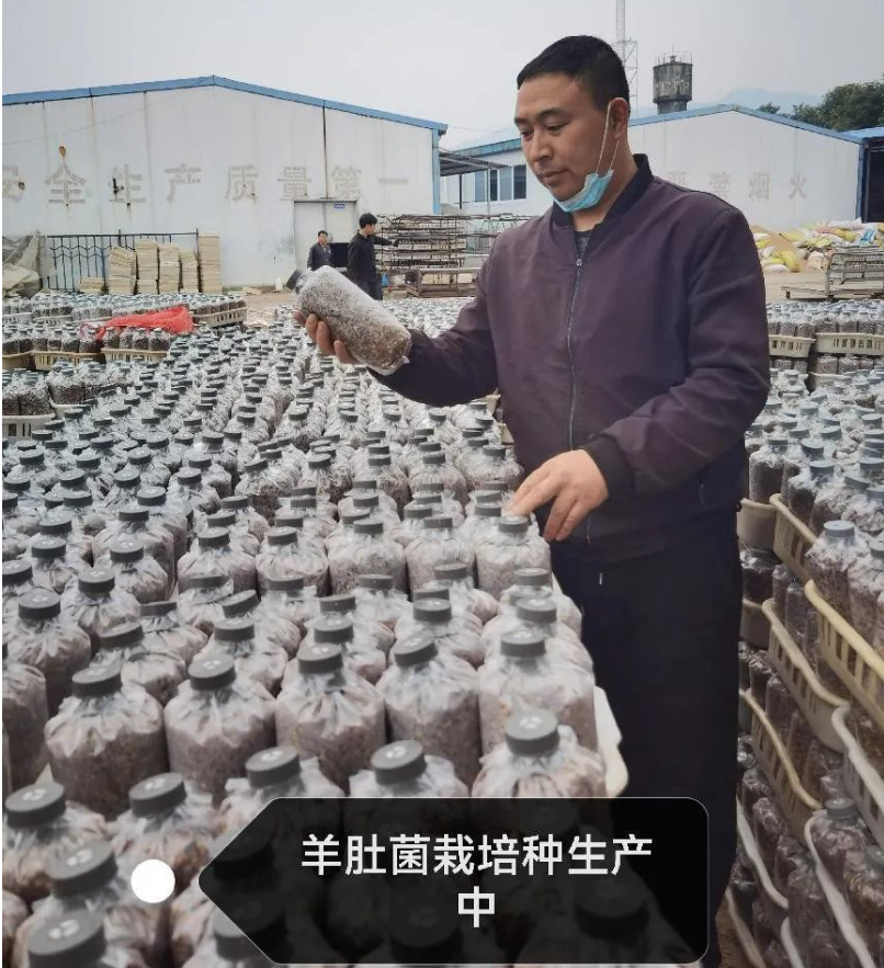 &#20048;&#31454;&#32593;&#39029;&#29256;&#30331;&#24405;&#20837;&#21475;&#45;&#20048;&#31454;&#40;&#20013;&#22269;&#41;