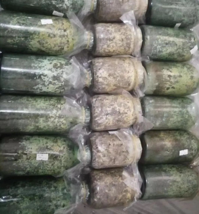 &#20048;&#31454;&#32593;&#39029;&#29256;&#30331;&#24405;&#20837;&#21475;&#45;&#20048;&#31454;&#40;&#20013;&#22269;&#41;